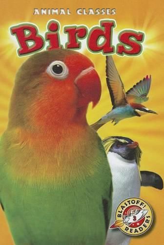 Cover image for Birds
