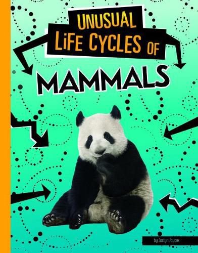 Cover image for Unusual Life Cycles of Mammals