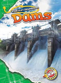 Cover image for Dams