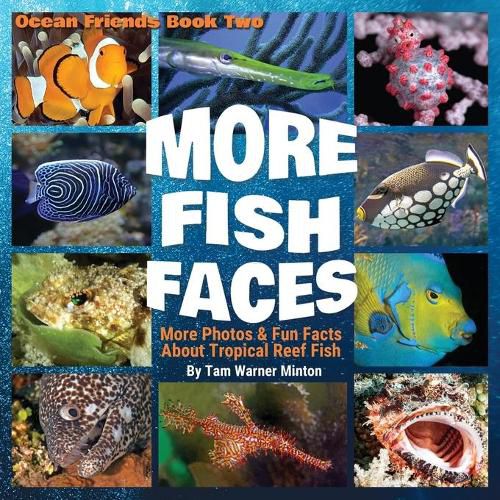 Cover image for More Fish Faces: More Photos and Fun Facts about Tropical Reef Fish