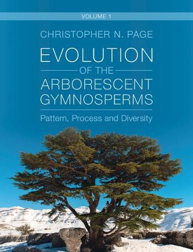 Cover image for Evolution of the Arborescent Gymnosperms: Volume 1, Northern Hemisphere Focus