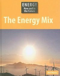 Cover image for The Energy Mix