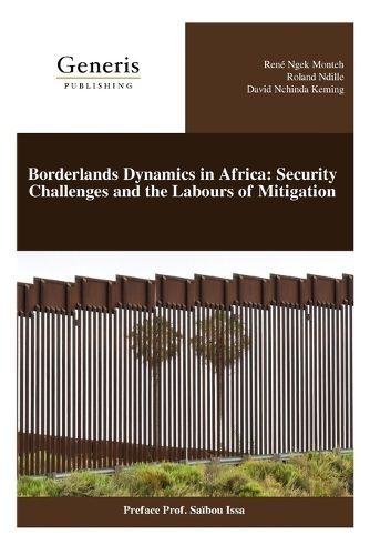 Cover image for Borderlands Dynamics in Africa