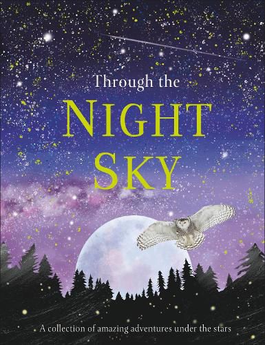 Cover image for Through the Night Sky: A collection of amazing adventures under the stars