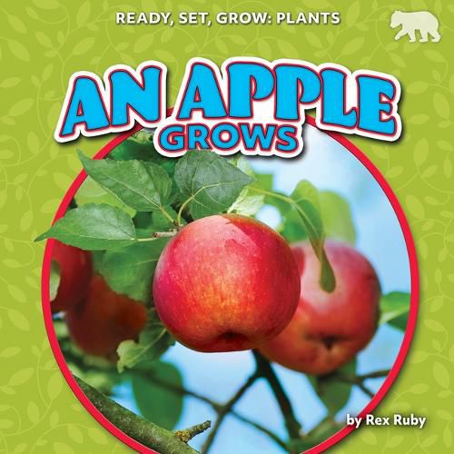 Cover image for An Apple Grows