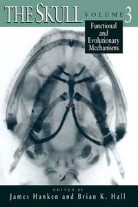 Cover image for The Skull
