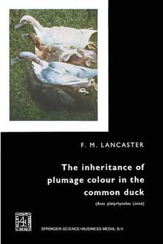 The inheritance of plumage colour in the common duck (Anas platyrhynchos linne)