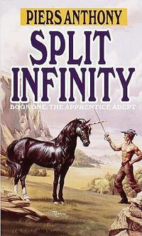 Cover image for Split Infinity