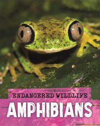 Cover image for Endangered Wildlife: Rescuing Amphibians