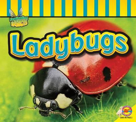 Cover image for Ladybugs