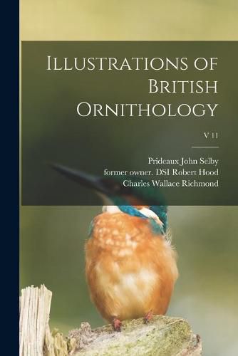 Illustrations of British Ornithology; v 11