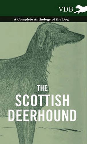 Cover image for The Scottish Deerhound - A Complete Anthology of the Dog