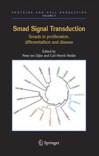 Cover image for Smad Signal Transduction: Smads in Proliferation, Differentiation and Disease
