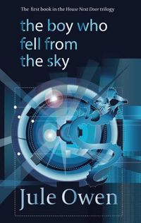 Cover image for The Boy Who Fell from the Sky