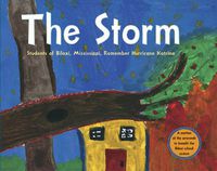 Cover image for The Storm: Students of Biloxi, Mississippi, Remember Hurricane Katrina