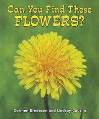 Cover image for Can You Find These Flowers?