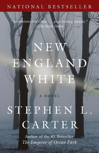 Cover image for New England White: A Novel