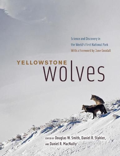 Yellowstone Wolves: Science and Discovery in the World's First National Park