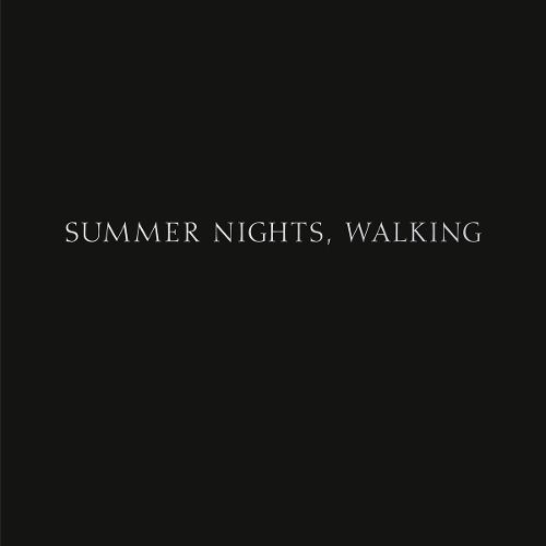 Cover image for Robert Adams: Summer Nights, Walking