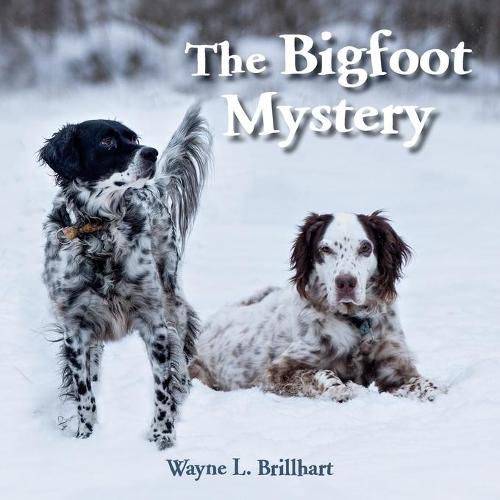 Cover image for The Bigfoot Mystery: A Rusty and Purdy Backyard Bird Adventure