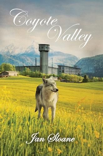 Cover image for Coyote Valley