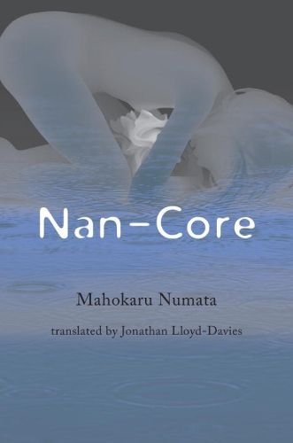 Cover image for Nan-core