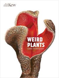 Cover image for Weird Plants