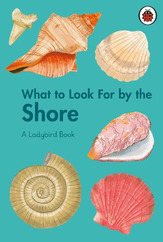 Cover image for What to Look For by the Shore