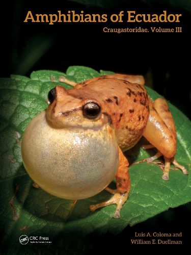 Cover image for Amphibians of Ecuador