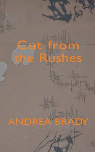 Cover image for Cut from the Rushes