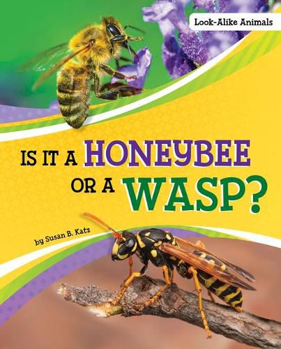 Is it a Honeybee or a Wasp