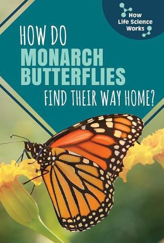 Cover image for How Do Monarch Butterflies Find Their Way Home?