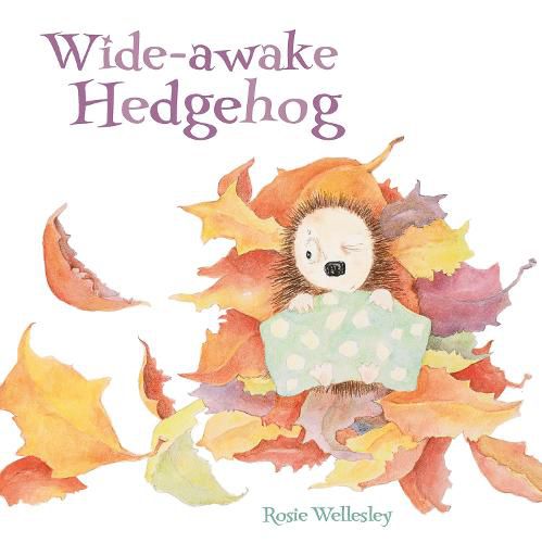 Cover image for Wide-awake Hedgehog