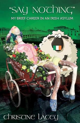 Cover image for Say Nothing-My Brief Career in an Irish Asylum