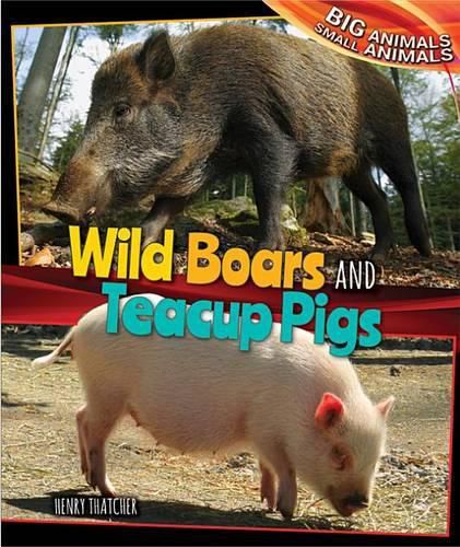 Cover image for Wild Boars and Teacup Pigs