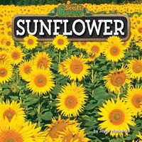 Cover image for Sunflower