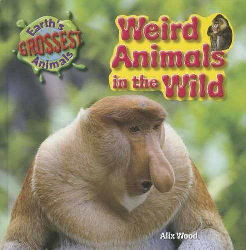 Cover image for Weird Animals in the Wild