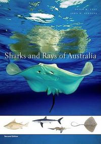 Cover image for Sharks and Rays of Australia: Second Edition