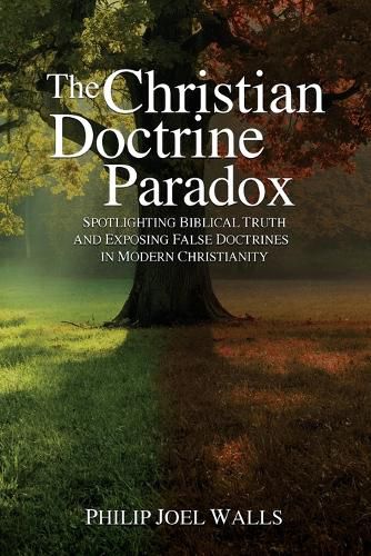 Cover image for The Christian Doctrine Paradox