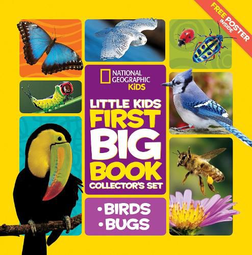 Cover image for Little Kids First Big Book Collector's Set: Birds and Bugs