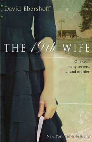 Cover image for The 19th Wife: The gripping Richard and Judy bookclub page turner