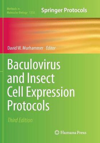 Cover image for Baculovirus and Insect Cell Expression Protocols