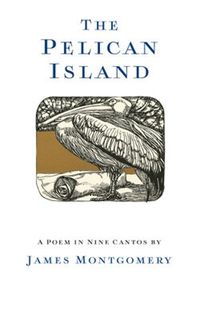 Cover image for The Pelican Island (Illustrated Edition)