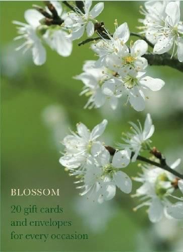 Cover image for Blossom Large Card Box