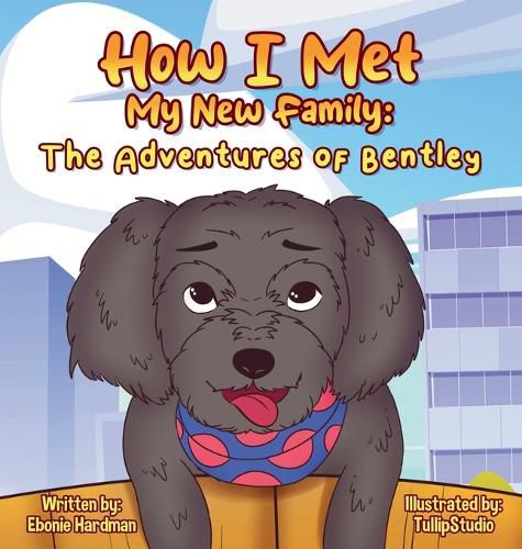 Cover image for How I Met My New Family