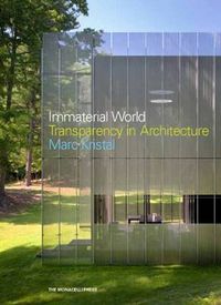 Cover image for Immaterial World