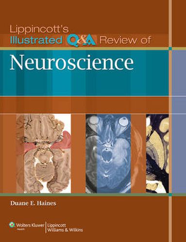 Cover image for Lippincott's Illustrated Q&A Review of Neuroscience