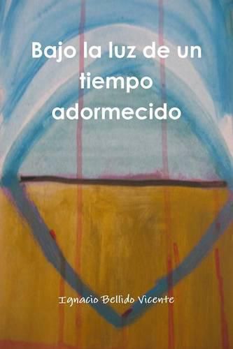 Cover image for Bajo La Luz De Un Tiempo Adormecido