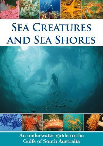 Cover image for Sea Creatures and Sea Shores: An Underwater Guide to the Gulfs of South Australia