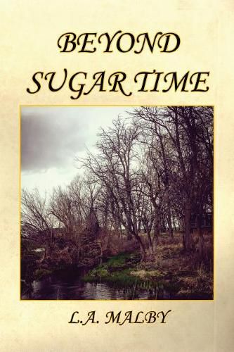 Cover image for Beyond Sugar Time